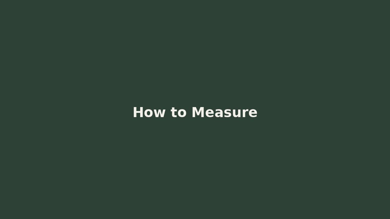 How to Measure Your Dog for a Harness