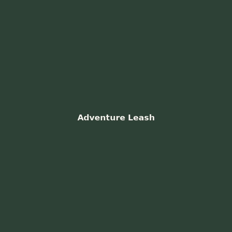 Adventure Leash