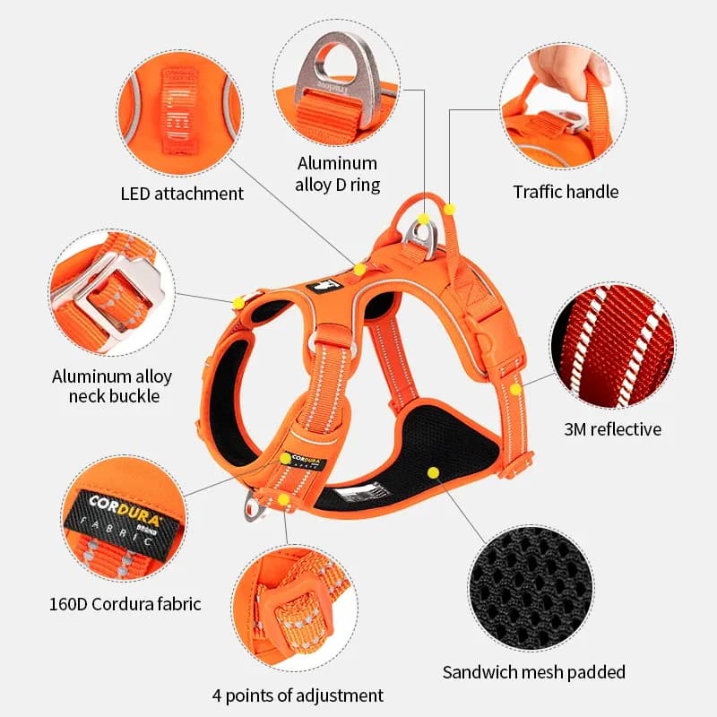 Technical feature map of the orange harness