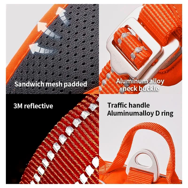 Close-up views of the harness padding, reflective webbing, hardware, and handle